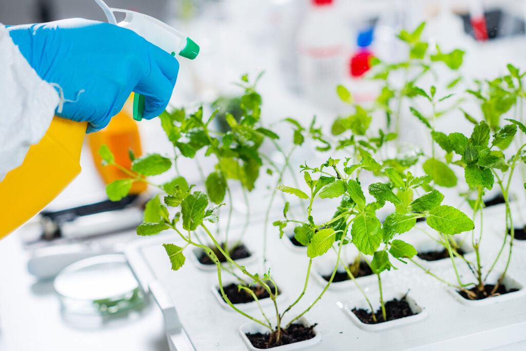 lab-technician-test-spraying-plants