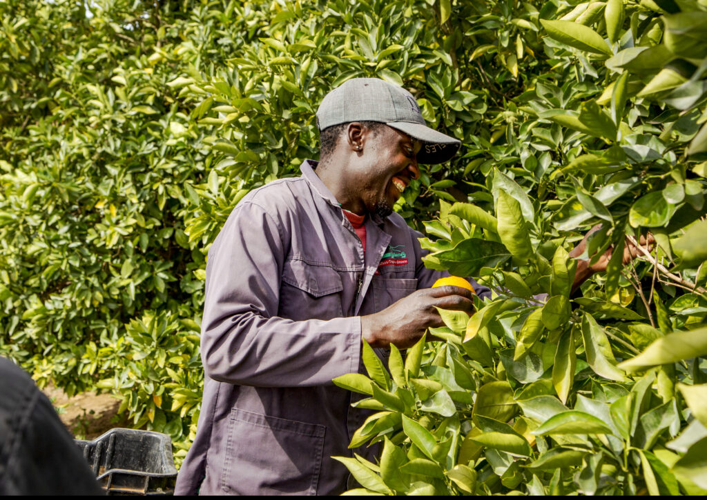 IMG 3178 | Increased Crop Yield | Soil, Water and Nutrient Management